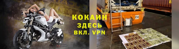шишки Липки