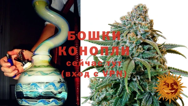 шишки Лихославль