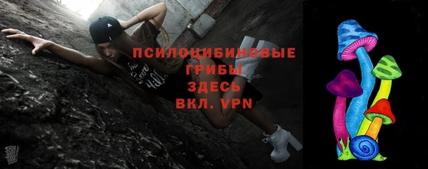 мдма Ладушкин