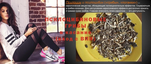 шишки Лихославль