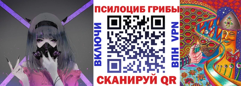 купить   Лахденпохья  Псилоцибиновые грибы Psilocybe 